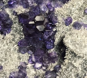 Tree Agate | Sheik Stones Store