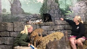 291K views · 379 reactions | Cincinnati Zoo & Botanical Garden on Reels | Facebook