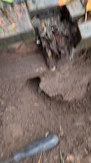 Abe Goldberg on Reels