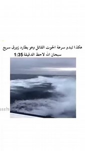 219K views · 844 shares | Tam Kỳ Authentic on Reels | Facebook