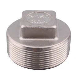 [Hot Item] High Pressure Stainless Steel Pipe Fitting Plug