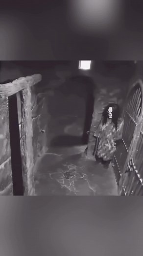 Funny escape room moments#funny #escaperoom #hauntedhouse #fear #prank | escape room
