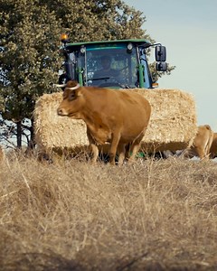 3.5K views · 189 reactions | Our 5M tractor. See the passion for farming.  #JohnDeere5M | John Deere | Facebook