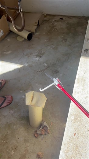 229K views · 2.3K reactions | n ou Oom hoog teen die Du Toitskloof berge het die massive slang mooi dopgehou tot ek nou daar gekom het nou  Gelukkig het die slang gedink hy is veilig in die krip want die oom loop met 2 krukke en hy het plakkies aangehad 﫢 Kaapse Kobra Highly venomous⚠️ | Boland Snake Removals 24/7 and Pest Control | Facebook