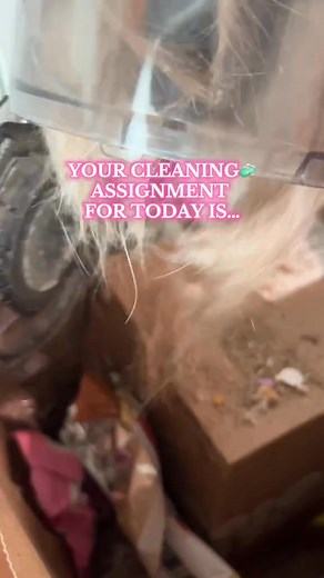 Your cleaning assignment for today is…🧼✨ #CleanTok#cleaningtok#cleanh | Amir McPherson