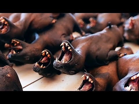 Indonesian Food - FRUIT BAT MEAT Cooked Two Ways Manado Indonesia