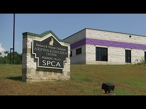 Roanoke Valley SPCA celebrates 25,000 adoptions