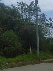 Tagaytay - Calamba road VIA Brgy. Mabato Calamba Laguna. #roadtrip #mrbiyahero #travelph #naturetrip | RJI Mr. Biyahero