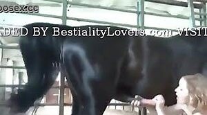Pige har sex med en hest, som hun kan lide