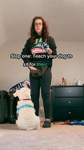 😡 How to STOP Leash Biting 😤 #dogtrainingadvice #dogtips #dogtrainingclasses #dogproblems #boardandtrain #puppytraining | Best Buddy Dog Trainer, LLC
