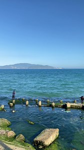 Chiều bên bãi rêu xanh | Nha Trang Trong Tôi