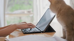 Young Female Owner Freelancer Online Work Stock Footage Video (100% Royalty-free) 3457941785 | Shutterstock