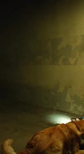 3K views · 42 reactions | They thought locking me in that pitch-black...