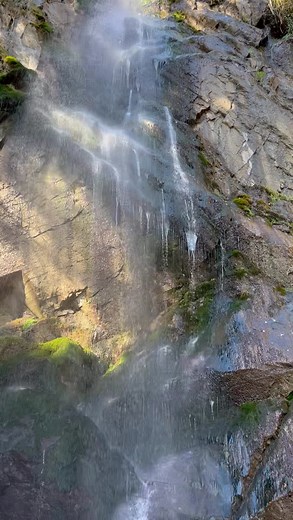 11K views · 467 reactions | Alban Skenderaj on Reels | Facebook