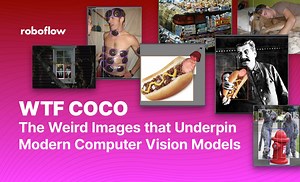 WTF COCO - The Weird Images that Underpin Modern Computer Vision Models