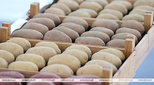 Lukashenko tells retailers to keep Belarusian potatoes in stock