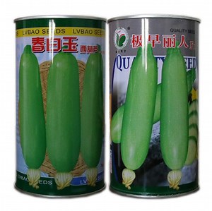 [Hot Item] Touchhealthy Supply Organic Zucchini Seeds/Zucchini Seeds for Sale
