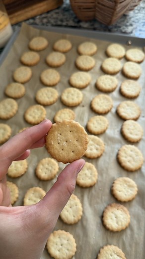 Homemade Ritz Crackers Recipe from Scratch