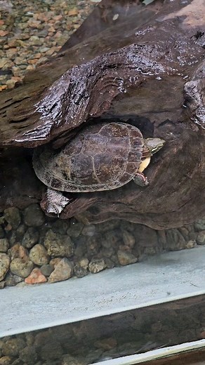 17 reactions | Sometimes, you need just need to get a little creative...