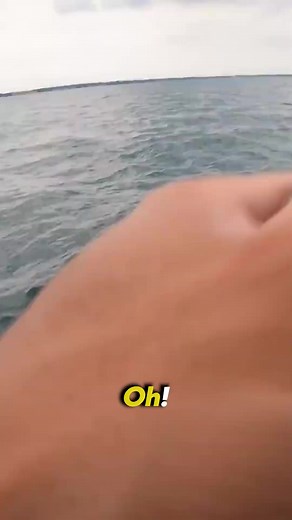 Fishing on a boat #fishing | 1Rod1ReelFishing