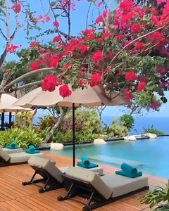 Legal Law Firm on Reels