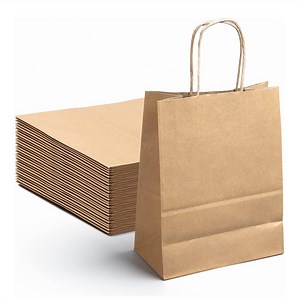 [Hot Item] Biodegradable Brown Paper Bag with Twisted Paper Handles