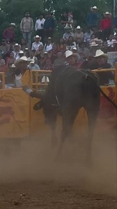 10K views · 113 reactions |  EL SATANAS DE SELECCION MICHOACANA 陋 | JARIPEO APASIONANTE | Facebook