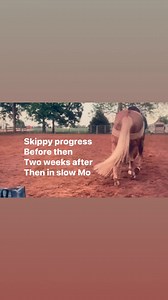 16 reactions | Skippy is making progress with his fitness. Second...