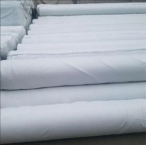 [Hot Item] White Polyester Geotextile Fabric Breathable Nonwoven Agriculture Use Manufactured White Filament