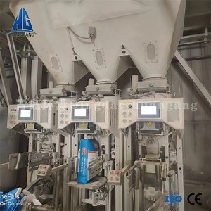 [Hot Item] Automatic Valve Bag Packer Port Packaging Bagging Filling Dry Mortar Packing Machine