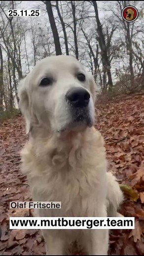 Methode 0,1 >!> ‼️ Claus, Olaf und Freddy ✊täglich auf allen Plattformen 🇩🇪 Verein für Demokratie e.V. DE34 3305 0000 0000 1905 61 | Mutbuerger Thekenalarm