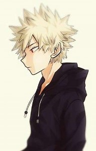 why you? (bakugou x female reader) DISCONTINUED - this isn't a chapter.