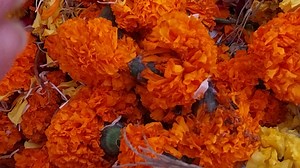 3.6K views · 344 reactions | ☺️Genda phool bade kaam ke. | Sonam Creations | Facebook