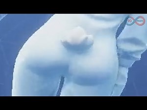 Wiggle 10 hours (Fortnite)