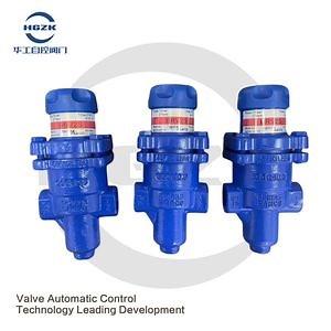 [Hot Item] Brv2s スピラックス サルコ ダクタイル鋳鉄 直接作用型圧力調整弁 Bspf