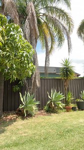 Goodnight 💤🌙 | Mary Hall