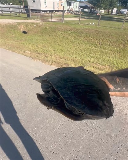 Mario saves Bowser | Shirtless Jake's Homestead