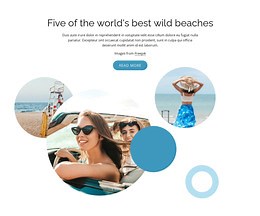 Best wild beaches - Website Template by Nicepage