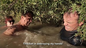 2K views · 20 reactions | Check out the teaser for the episode Merciless Beast in Paris. Cyril Chauquet is not afraid to get his hands wet (or in the mouth of a monster). | Chasing Monsters with Cyril Chauquet | Facebook