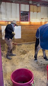 13K views · 345 reactions | Hard at work! | Fort Worth Herd | Facebook