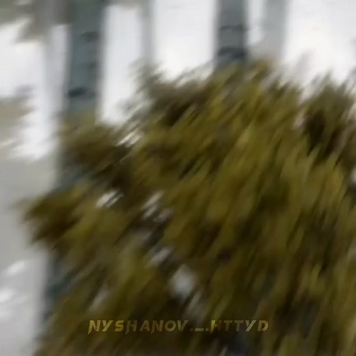 WHAT IF #httyd #httydedit #foryou #hiccup #рекомендации #рек #hiccuphaddock #httyd2edit #httyd #whatif