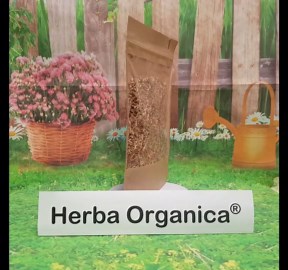 Herba Organica Oak Bark - Quercus L - Herbal Tea (100g)