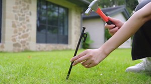 Suzile 48 Pcs Tree Stake Kit, Heavy Duty Tree Staking and Supports for Leaning Trees Include 11. 8'' Steel Stakes 15. 8'' Support Straps 13. 12 ft Ropes for Anchoring Hurricane Protection (Green)