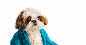 RuPaul saves woman from sexual assault by biting attacker - LGBTQ Nation