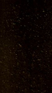 6.4K views · 89 reactions | Who is ready for some early hardcore & terror madness at our mighty mainstage?  | Pandemonium | Facebook