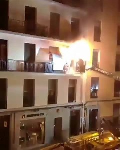 164K views · 794 reactions | Halligan Division on Reels | Facebook