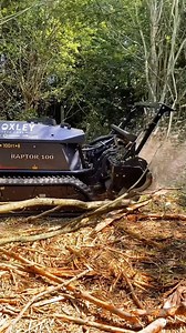 21K views · 217 reactions | Total control, no limits  Whether you're facing rough terrain, thick brush, or tricky landscapes, the 헥헮헽혁헼헿 ퟭퟬퟬ packs a punch❗ With remote control precision, you command every move, conquering hard-to-reach areas like a pro ️ Client: Coxley Tree Care 欄 Dealer: Bradleys Group  #Prinoth #Raptor100 #prinothvegetationmanagement | Prinoth Vegetation Management | Facebook