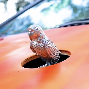 DIY extravaganza: Rolls Royce style sign! | 5-Minute Crafts Play