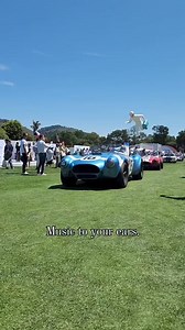 Name a sweeter sound🤌 . . . #Cobra #shelbycobra #cars #classiccars #automotive #aboutcars #carswithoutlimits #carsofinstagram #engine #carhistory #carweek #Ferrari #Jaguar #alfaromeo #MercedesBenz #porsche #Bentley #RollsRoyce #Koenigsegg #bugattiveyron | The Bad Blonde - Automotive History