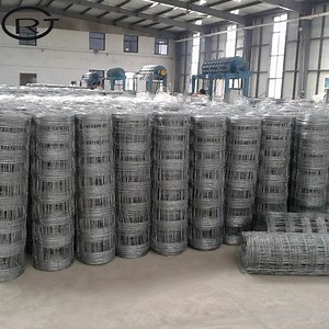 [Hot Item] Wholesale Price Hot Dipped Galvanized Steel Wire Fencing Field Fence